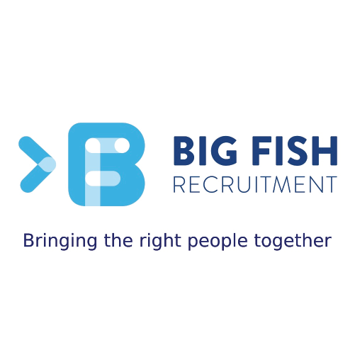 Big Fish Consult DMCC